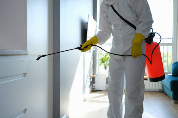 Best Home Mold Removal  in Corydon, IN
